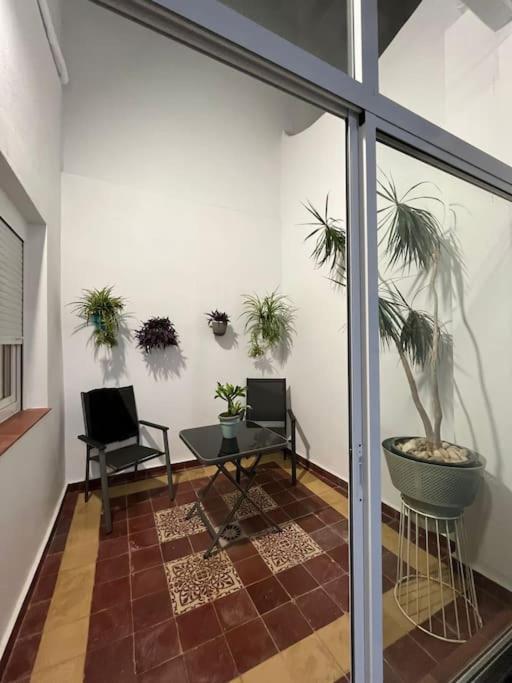 Apartamento Veedor Buenas Companias 카디스 외부 사진